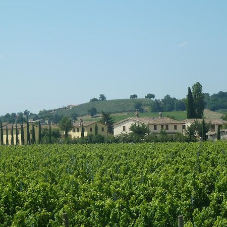 Agriturismo Villaggio Green Монтефалко Екстериор снимка