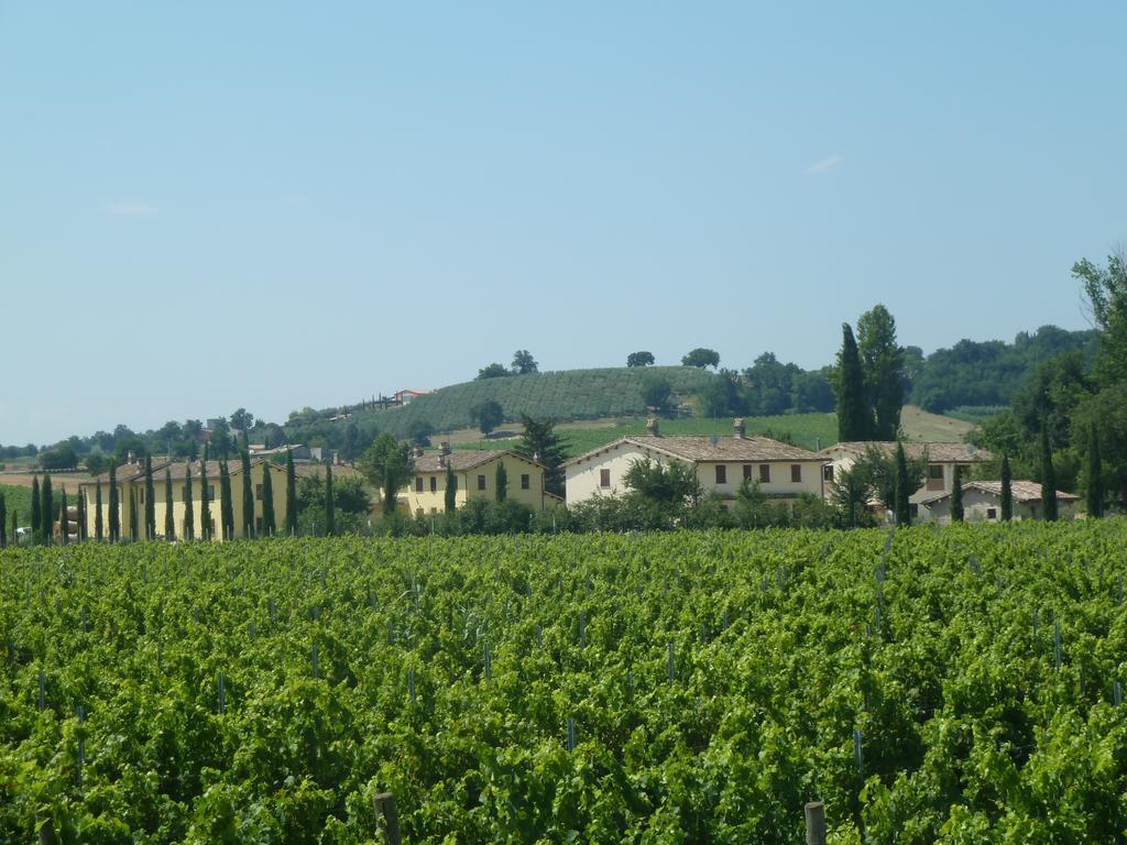 Agriturismo Villaggio Green Монтефалко Екстериор снимка